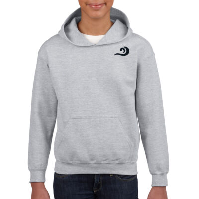 Salty Dicks Cubs edition - Gildan Youth Hooded Sweatshirt Thumbnail